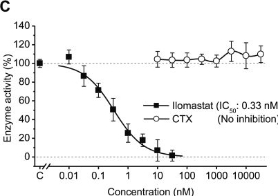 Fig.6.C from the publication: Chlorotoxin binds to both matrix metalloproteinase 2 and neuropilin 1.