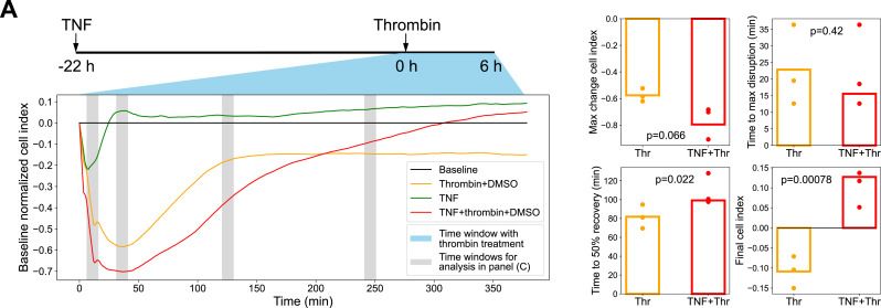 Fig.1.A from the publication: Interrogating endothelial barrier regulation by temporally resolved kinase network generation.