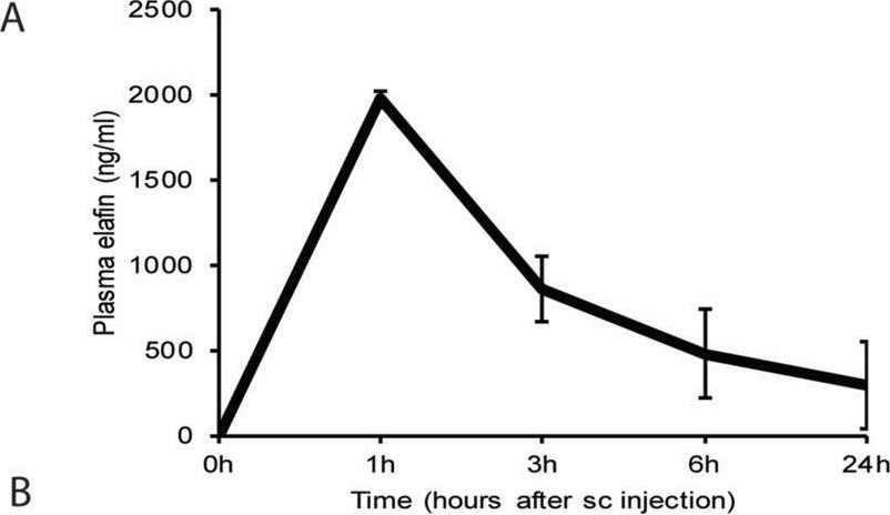 Fig.6.A showing Enzyme-linked immunosorbent assay from the publication: Elafin inhibits obesity, hyperglycemia, and liver steatosis in high-fat diet-treated male mice.