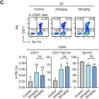 Fig.5.C showing Flow cytometry/Cell sorting in a Mus musculus (House mouse) sample from the publication: MCL-1 Inhibitor S63845 Distinctively Affects Intramedullary and Extramedullary Hematopoiesis.