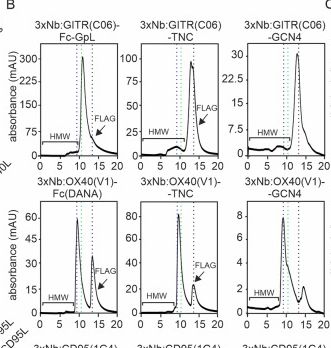 Fig.5.B showing Flow cytometry/Cell sorting from the publication: A simple and broadly applicable nanobody-based approach to generate potent TNFR agonists.