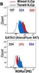 Fig.1.B showing Flow cytometry/Cell sorting from the publication: Circulating ILC precursors expressing CD62L exhibit a type 2 signature distinctly decreased in psoriatic patients.