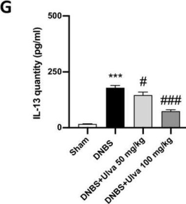 Fig.3.G showing Enzyme-linked immunosorbent assay from the publication: Ulva pertusa, a Marine Green Alga, Attenuates DNBS-Induced Colitis Damage via NF-κB/Nrf2/SIRT1 Signaling Pathways.