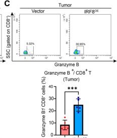 Fig.8.C showing Flow cytometry/Cell sorting in a Homo sapiens (Human) sample from the publication: Signature Construction Associated with Tumor-Infiltrating Macrophages Identifies IRF8 as a Novel Biomarker for Immunotherapy in Advanced Gastric Cancer.