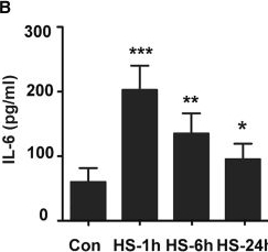 Fig.3.B showing Enzyme-linked immunosorbent assay from the publication: Changes in the microglial phenotype drive neuroinflammation independent of systemic inflammation in the acute stage of heatstroke.