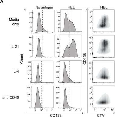 Fig.3.A showing Flow cytometry/Cell sorting from the publication: Syndecans and glycosaminoglycans influence B-cell development and activation.