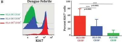 Fig.1.B showing Flow cytometry/Cell sorting in a Homo sapiens (Human) sample from the publication: Characterization of Human CD8 T Cell Responses in Dengue Virus-Infected Patients from India.