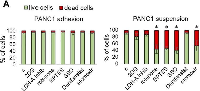 Fig.8.A from the publication: The critical role of glutamine and fatty acids in the metabolic reprogramming of anoikis-resistant melanoma cells.
