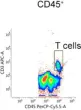 Fig.5.J showing Flow cytometry/Cell sorting in a Mus musculus (House mouse) sample from the publication: Selective Inhibition of Soluble Tumor Necrosis Factor Alters the Neuroinflammatory Response following Moderate Spinal Cord Injury in Mice.