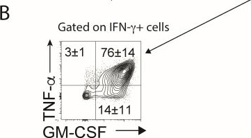 Fig.3.B showing Flow cytometry/Cell sorting in a Mus musculus (House mouse) sample from the publication: Combination adjuvants drive long-lived plastic Th17 cells that convert to multi-functional Th1 cells and protect mice against fungal infection.