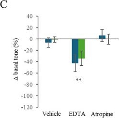 Fig.2.C from the publication: In vitro study of spontaneous motility and cholinergic responses in the human Hirschsprung's disease colon.