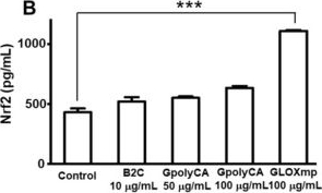 Fig.5.B showing Enzyme-linked immunosorbent assay from the publication: Self-boosting targeted anticancer therapy via cancer cell self-reprogramming with GGT-targeting oxidative stress nanoamplifiers.