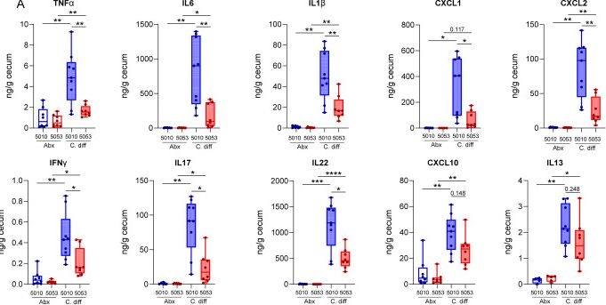 Fig.2.A showing Flow cytometry/Cell sorting in a Mus musculus (House mouse) sample from the publication: Standard mouse diets lead to differences in severity in infectious and non-infectious colitis.