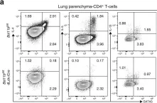 Fig.4.A showing Flow cytometry/Cell sorting in a Mus musculus (House mouse) sample from the publication: Bcl11b is essential for licensing Th2 differentiation during helminth infection and allergic asthma.