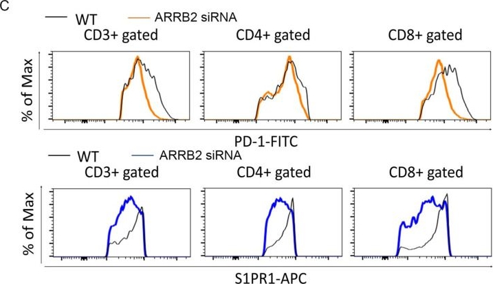 Fig.4.C showing Flow cytometry/Cell sorting in a Mus musculus (House mouse) sample from the publication: β-Arrestin 2 as a Prognostic Indicator and Immunomodulatory Factor in Multiple Myeloma.