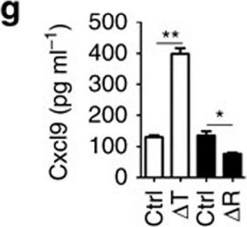Fig.4.G showing Enzyme-linked immunosorbent assay in a Mus musculus (House mouse) sample from the publication: Osteoblasts secrete Cxcl9 to regulate angiogenesis in bone.