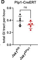 Fig.2.D from the publication: Neuronal responses to cytokines limit intestinal hypermotility and systemic effects of colonic inflammation.