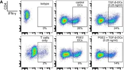 Fig.6.A showing Flow cytometry/Cell sorting in a Homo sapiens (Human) sample from the publication: Prostaglandin E2 Antagonizes TGF-β Actions During the Differentiation of Monocytes Into Dendritic Cells.