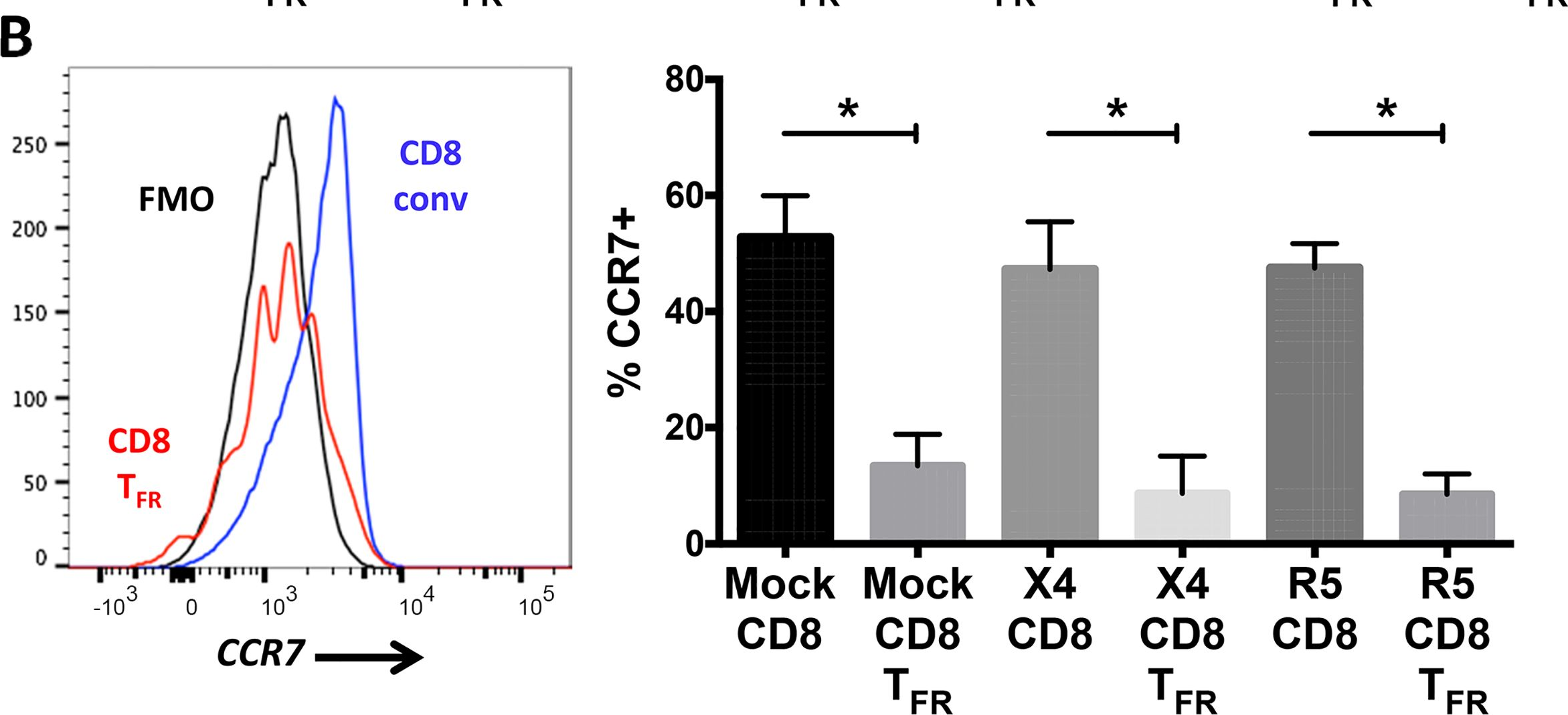 Fig.2.B showing Flow cytometry/Cell sorting in a Macaca mulatta (Rhesus Monkey) sample from the publication: Follicular Regulatory CD8 T Cells Impair the Germinal Center Response in SIV and Ex Vivo HIV Infection.