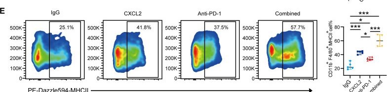 Fig.5.E showing Flow cytometry/Cell sorting in a Homo sapiens (Human) sample from the publication: CXCL2 affects macrophage antitumor function and immunotherapy efficacy in esophageal squamous cell carcinoma through calcium signaling.
