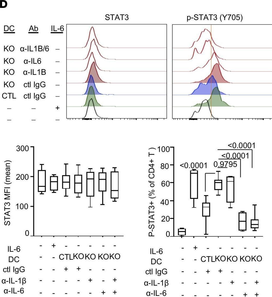 Fig.5.D showing Flow cytometry/Cell sorting from the publication: IL-17-producing follicular Th cells enhance plasma cell differentiation in lupus-prone mice.