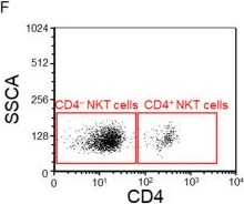 Fig.8.F showing Flow cytometry/Cell sorting from the publication: Differential Immune Checkpoint Expression in CD4+ and CD4- NKT Cell Populations During Healthy Pregnancy.