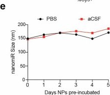 Fig.5.E from the publication: Multipronged SMAD pathway targeting by lipophilic poly(β-amino ester) miR-590-3p nanomiRs inhibits mesenchymal glioblastoma growth and prolongs survival.