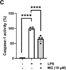 Fig.4.C from the publication: Role of Polyphenol-Derived Phenolic Acid in Mitigation of Inflammasome-Mediated Anxiety and Depression.