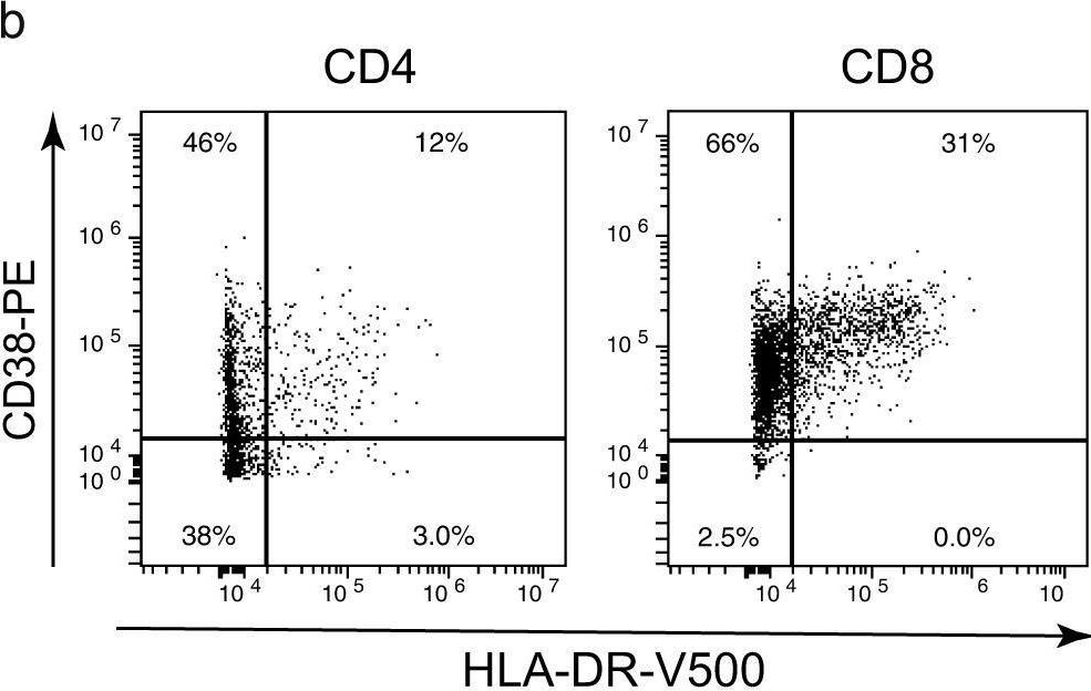 Fig.4.B showing Flow cytometry/Cell sorting in a Homo sapiens (Human) sample from the publication: Accumulation of mutations in antibody and CD8 T cell epitopes in a B cell depleted lymphoma patient with chronic SARS-CoV-2 infection.