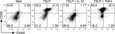 Fig.3.B showing Flow cytometry/Cell sorting in a Homo sapiens (Human) sample from the publication: Dectin-1 Controls TSLP-Induced Th2 Response by Regulating STAT3, STAT6, and p50-RelB Activities in Dendritic Cells.