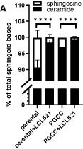 Fig.1.A from the publication: Ceramide Synthase 6 Maximizes p53 Function to Prevent Progeny Formation from Polyploid Giant Cancer Cells.