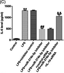 Fig.9.C showing Enzyme-linked immunosorbent assay from the publication: Role of lncRNA MAGI2-AS3 in lipopolysaccharide-induced nucleus pulposus cells injury by regulating miR-374b-5p/interleukin-10 axis.