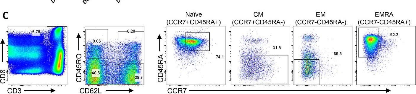 Fig.1.C showing Flow cytometry/Cell sorting from the publication: Reprogramming of Tumor-reactive Tumor-infiltrating Lymphocytes to Human-induced Pluripotent Stem Cells.