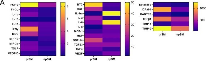 Fig.1.A from the publication: Dendritic cells under the control of the preimplantation embryo secretome: an in vitro study.