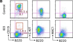 Fig.1.B showing Flow cytometry/Cell sorting in a Mus musculus (House mouse) sample from the publication: Induced Developmental Arrest of Early Hematopoietic Progenitors Leads to the Generation of Leukocyte Stem Cells.