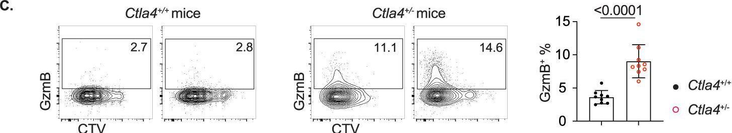 Fig.6.C showing Flow cytometry/Cell sorting in a Homo sapiens (Human) sample from the publication: CTLA4 protects against maladaptive cytotoxicity during the differentiation of effector and follicular CD4+ T cells.
