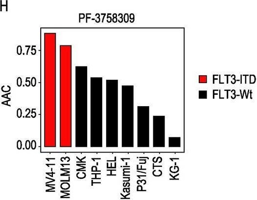Fig.4.H from the publication: Phosphoproteomics identifies determinants of PAK inhibitor sensitivity in leukaemia cells.