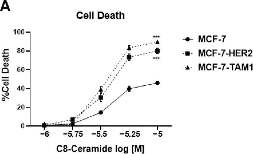 Fig.5.A from the publication: Endocrine Therapy-Resistant Breast Cancer Cells Are More Sensitive to Ceramide Kinase Inhibition and Elevated Ceramide Levels Than Therapy-Sensitive Breast Cancer Cells.