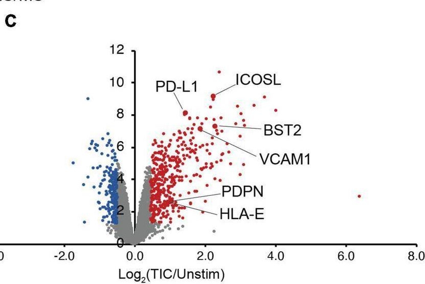 Fig.4.C showing Flow cytometry/Cell sorting in a Homo sapiens (Human) sample from the publication: Proteomic Alterations and Novel Markers of Neurotoxic Reactive Astrocytes in Human Induced Pluripotent Stem Cell Models.