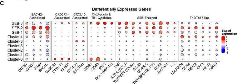 Fig.2.C from the publication: T cell antigenic recognition sequencing (TAR-seq) enables precise characterization of vaccine-elicited cellular immunity ex vivo and in vivo.