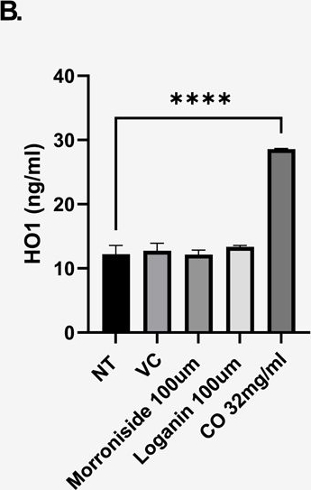 Fig.1.B showing Enzyme-linked immunosorbent assay from the publication: NMR and proteomic analysis of Cornus officinalis extract reveals abundance of 5-hydroxymethylfurfural and induced expression of Nrf2 and superoxide dismutase-2 in 1.1B4 human pancreatic β-cells and murine islets.