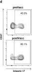 Fig.5.D showing Flow cytometry/Cell sorting from the publication: Activated T follicular helper-like cells are released into blood after oral vaccination and correlate with vaccine specific mucosal B-cell memory.