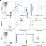 Fig.2.B showing Flow cytometry/Cell sorting from the publication: Case report: Successful allogeneic stem cell transplantation in a child with novel GATA2 defect associated B-cell acute lymphoblastic leukemia.