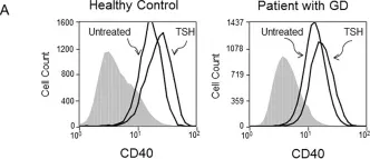 Fig.1.A showing Flow cytometry/Cell sorting in a Homo sapiens (Human) sample from the publication: CD40 Expression in Fibrocytes Is Induced by TSH: Potential Synergistic Immune Activation.