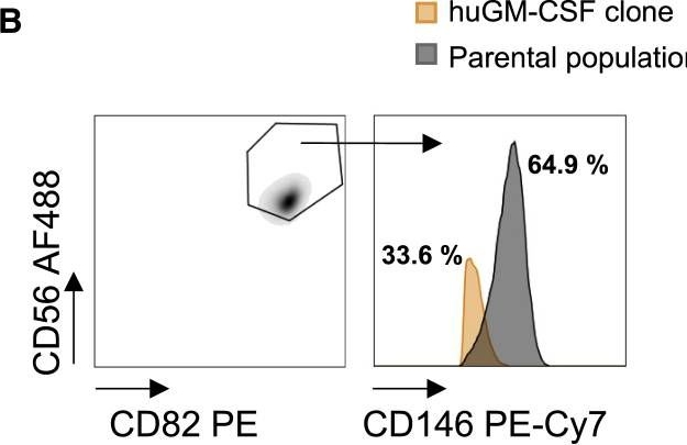 Fig.3.B showing Flow cytometry/Cell sorting from the publication: Immortalized human myoblast cell lines for the delivery of therapeutic proteins using encapsulated cell technology.