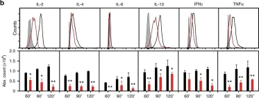 Fig.3.B showing Flow cytometry/Cell sorting in a Mus musculus (House mouse) sample from the publication: Stabilization of cytokine mRNAs in iNKT cells requires the serine-threonine kinase IRE1alpha.