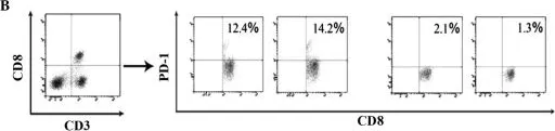 Fig.3.B showing Magnetic cell separation in a Homo sapiens (Human) sample from the publication: Role of programmed death ligands in effective T-cell interactions in extranodal natural killer/T-cell lymphoma.