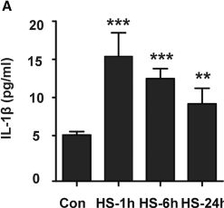 Fig.3.A showing Enzyme-linked immunosorbent assay from the publication: Changes in the microglial phenotype drive neuroinflammation independent of systemic inflammation in the acute stage of heatstroke.
