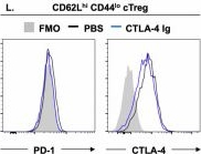 Fig.2.L showing Flow cytometry/Cell sorting in a Mus musculus (House mouse) sample from the publication: Costimulation loss enhances IL-2-driven Treg generation by PI3K-STAT3 inhibition in CNS autoimmunity.