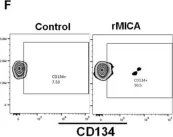 Fig.3.F showing Flow cytometry/Cell sorting in a Homo sapiens (Human) sample from the publication: MAIT Cells in the Bone Marrow of Patients with Aplastic Anemia.